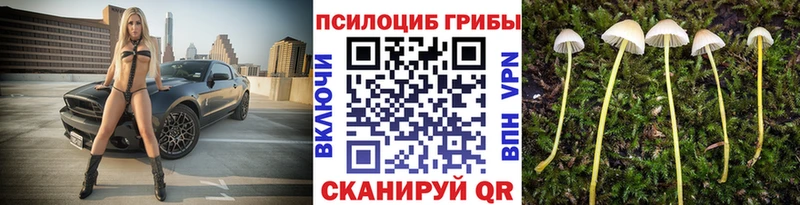shop состав  Малая Вишера  Псилоцибиновые грибы мухоморы  купить  цена 