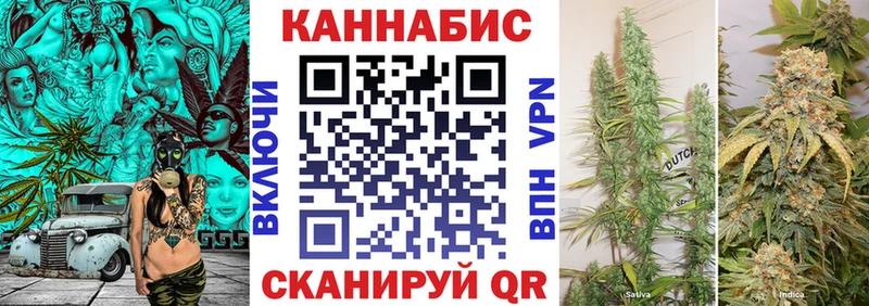 где купить наркоту Малая Вишера Бошки Шишки OG Kush